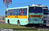 Viação Paraty 8147 na cidade de Araraquara, São Paulo, Brasil, por Sérgio de Sousa Elias. Número da foto: #13148960.