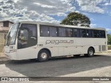 Pegasus Turismo 21000 na cidade de Garça, São Paulo, Brasil, por Júnior Juninho. Número da foto: #13149244.