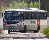 Borborema Imperial Transportes 2278 na cidade de Recife, Pernambuco, Brasil, por Ytalo Alves. Número da foto: #13150124.