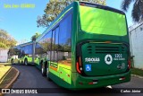 HP Transportes Coletivos 1203 na cidade de Goiânia, Goiás, Brasil, por Carlos Júnior. Número da foto: #13149415.