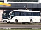 Stadtbus 529 na cidade de Santa Cruz do Sul, Rio Grande do Sul, Brasil, por Rainer Schumacher. Número da foto: #13150185.