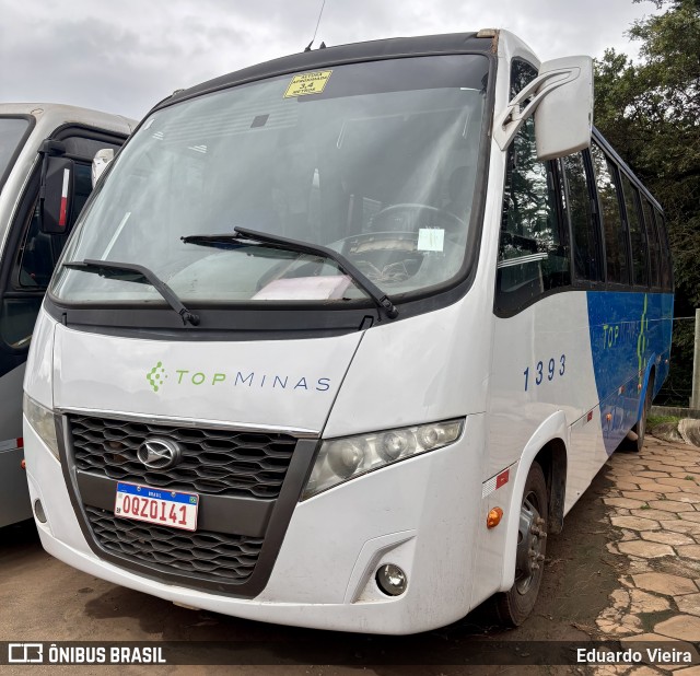 Top Minas Transportes e Logística 1393 na cidade de Ouro Branco, Minas Gerais, Brasil, por Eduardo Vieira. Número da foto: #13153832.
