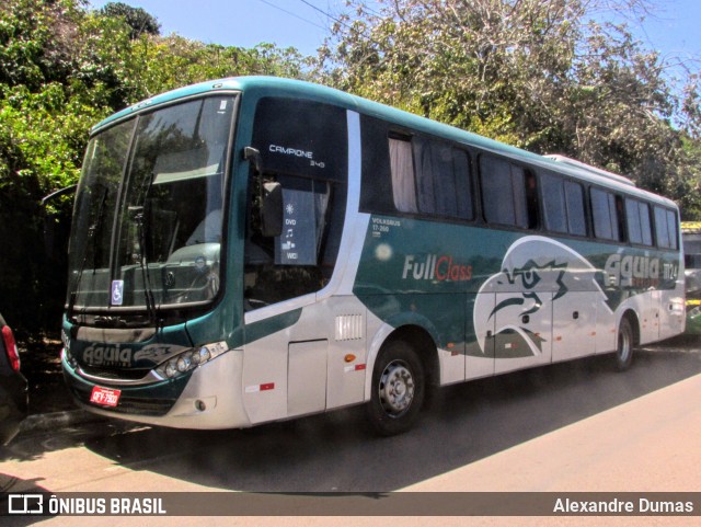 Águia Turismo 11124 na cidade de João Pessoa, Paraíba, Brasil, por Alexandre Dumas. Número da foto: #13151587.
