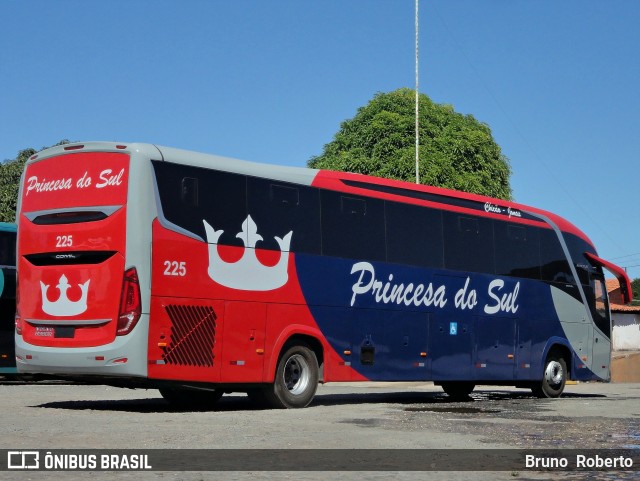Empresa Expresso Princesa do Sul 225 na cidade de Teresina, Piauí, Brasil, por Bruno  Roberto. Número da foto: #13156982.
