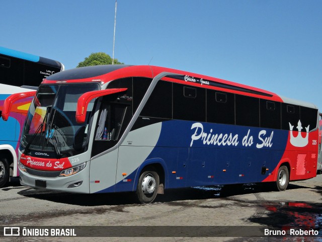 Empresa Expresso Princesa do Sul 225 na cidade de Teresina, Piauí, Brasil, por Bruno  Roberto. Número da foto: #13156989.