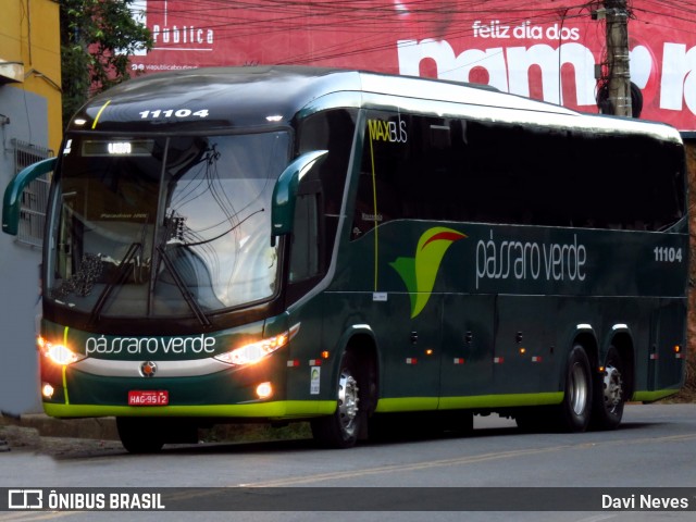 Pássaro Verde 11104 na cidade de Ponte Nova, Minas Gerais, Brasil, por Davi Neves. Número da foto: #13156812.