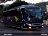 Pássaro Verde 16907 na cidade de Ponte Nova, Minas Gerais, Brasil, por Davi Neves. Número da foto: #13156819.