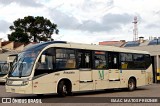 Araucária Transportes Coletivos 19L49 na cidade de Araucária, Paraná, Brasil, por ISAAC MATOS PREIZNER. Número da foto: #13156226.