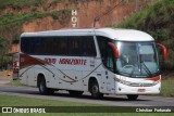 Viação Novo Horizonte 270 na cidade de Muriaé, Minas Gerais, Brasil, por Christian  Fortunato. Número da foto: #13154298.
