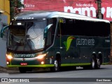 Pássaro Verde 11104 na cidade de Ponte Nova, Minas Gerais, Brasil, por Davi Neves. Número da foto: #13156812.
