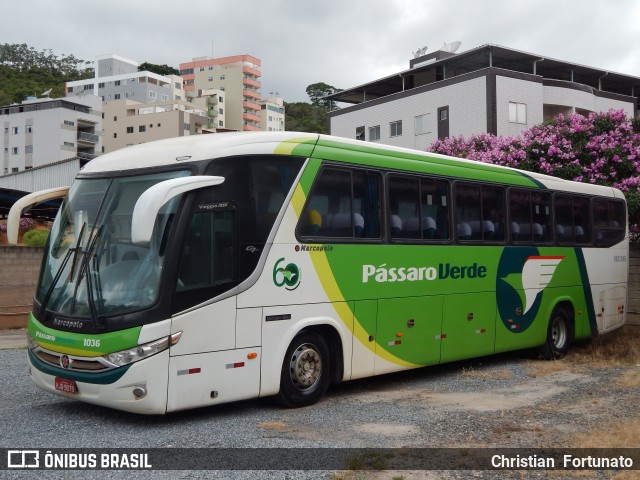 Pássaro Verde 1036 na cidade de Viçosa, Minas Gerais, Brasil, por Christian  Fortunato. Número da foto: #13157853.