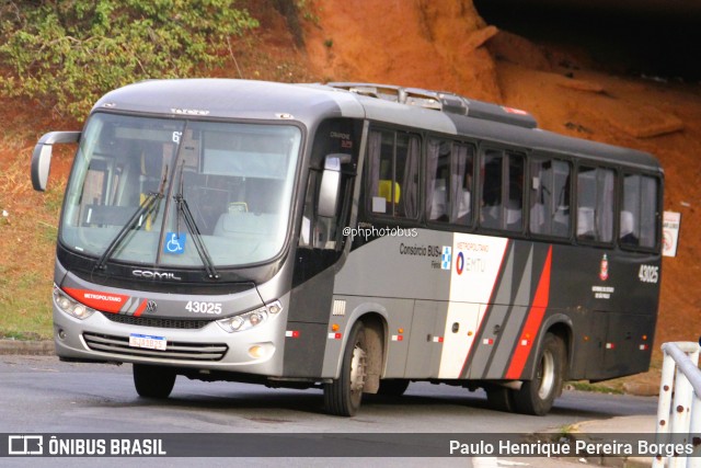 Rápido Expresso Fênix Viação 43025 na cidade de Campinas, São Paulo, Brasil, por Paulo Henrique Pereira Borges. Número da foto: #13160170.