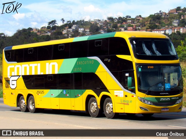 Empresa Gontijo de Transportes 25025 na cidade de Belo Horizonte, Minas Gerais, Brasil, por César Ônibus. Número da foto: #13160018.