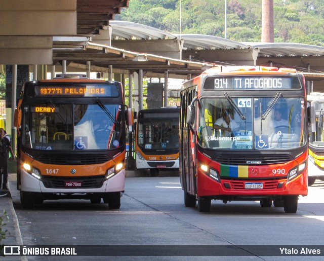 Transportadora Globo 990 na cidade de Paulista, Pernambuco, Brasil, por Ytalo Alves. Número da foto: #13159632.