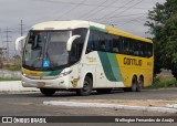 Empresa Gontijo de Transportes 18125 na cidade de Teresina, Piauí, Brasil, por Wellington Fernandes de Araújo. Número da foto: #13159067.