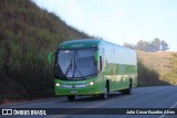 Pássaro Verde 16909 na cidade de São Geraldo, Minas Gerais, Brasil, por Julio Cesar Euzebio Alves. Número da foto: #13157985.