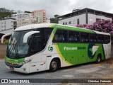 Pássaro Verde 1036 na cidade de Viçosa, Minas Gerais, Brasil, por Christian  Fortunato. Número da foto: #13157853.