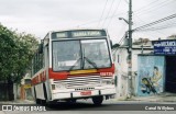 Viação Pioneira > Jaraguá > Marazul Transportes 139 735 na cidade de São Paulo, São Paulo, Brasil, por Canal Willybus. Número da foto: #13158559.