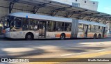 Viação Gato Preto 8 2423 na cidade de São Paulo, São Paulo, Brasil, por Murillo Salvatierra. Número da foto: #13157569.