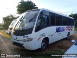 Águia 1652 na cidade de Viamão, Rio Grande do Sul, Brasil, por Wesley Dos santos Rodrigues. Número da foto: #:id.