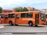 VCG - Viação Campos Gerais 1487 na cidade de Ponta Grossa, Paraná, Brasil, por Gabriel Guachineski. Número da foto: #13159762.