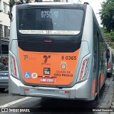 TRANSPPASS - Transporte de Passageiros 8 0365 na cidade de São Paulo, São Paulo, Brasil, por Michel Nowacki. Número da foto: #:id.