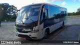 Planalto Transportes 1051 na cidade de Pelotas, Rio Grande do Sul, Brasil, por RODRIGO Souza. Número da foto: #13157952.