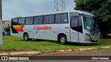 Transportes Capellini 34029 na cidade de Paulínia, São Paulo, Brasil, por Allan Henrique. Número da foto: #13158646.