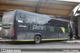 Pássaro Verde 23182 na cidade de Coimbra, Minas Gerais, Brasil, por Christian  Fortunato. Número da foto: #13157828.
