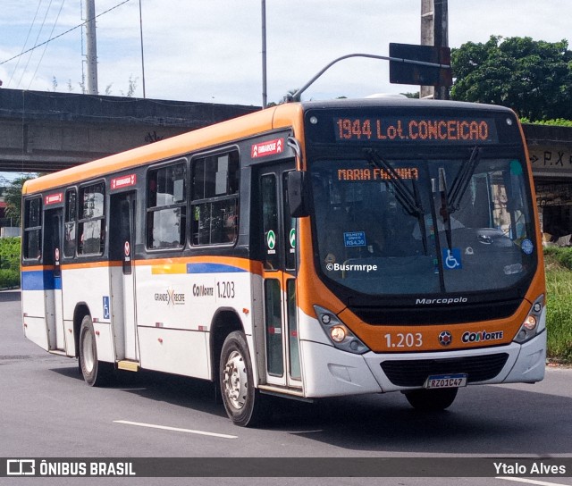 Cidade Alta Transportes 1.203 na cidade de Paulista, Pernambuco, Brasil, por Ytalo Alves. Número da foto: #13164169.