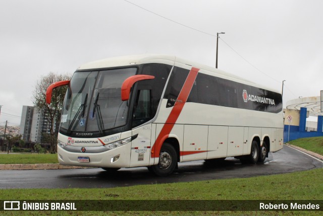 Expresso Adamantina 431531 na cidade de Marília, São Paulo, Brasil, por Roberto Mendes. Número da foto: #13163984.