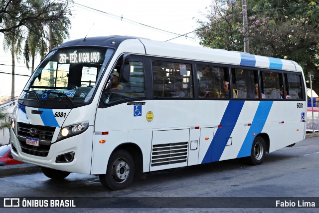 Uni Transportes 6081 na cidade de Guarulhos, São Paulo, Brasil, por Fabio Lima. Número da foto: #13164028.