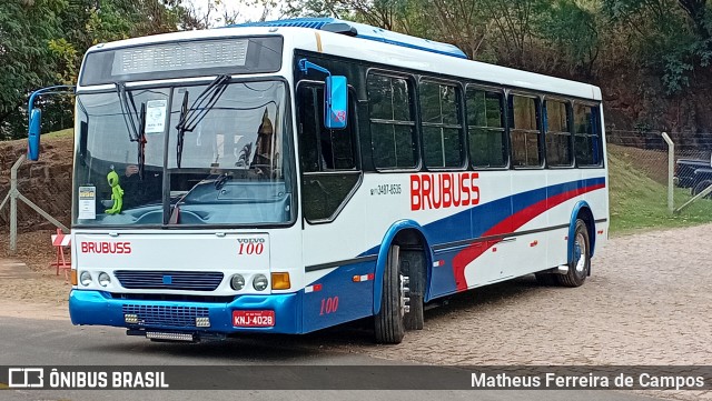 Brubuss Transportes 100 na cidade de Campinas, São Paulo, Brasil, por Matheus Ferreira de Campos. Número da foto: #13163219.