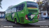 Pássaro Verde 11094 na cidade de Minas Novas, Minas Gerais, Brasil, por Ronnie Damião. Número da foto: #13161824.