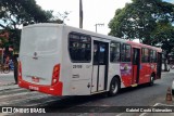 Transbus Transportes > Gávea Transportes 29198 na cidade de Santa Luzia, Minas Gerais, Brasil, por Gabriel Costa Guimarães. Número da foto: #13163048.
