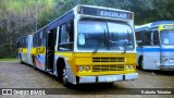 Associação de Preservação de Ônibus Clássicos 2442 na cidade de Campinas, São Paulo, Brasil, por Roberto Teixeira. Número da foto: #13162788.