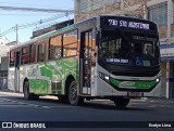 Viação Elite RJ 176.055 na cidade de Volta Redonda, Rio de Janeiro, Brasil, por Evelyn Lima. Número da foto: #13161487.