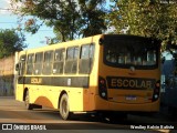 TM Log 03 na cidade de Sorocaba, São Paulo, Brasil, por Weslley Kelvin Batista. Número da foto: #13161732.