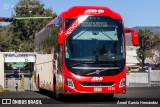 ADO - Autobuses de Oriente 0330 na cidade de Pachuca de Soto, Hidalgo, México, por Ángel García Hernández. Número da foto: #:id.
