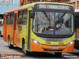 TUPi Transportes Urbanos Piracicaba 8255 na cidade de Piracicaba, São Paulo, Brasil, por Adriano Barbosa. Número da foto: #13161633.