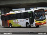 Transportes Paranapuan B10188 na cidade de Rio de Janeiro, Rio de Janeiro, Brasil, por Wescley  Costa. Número da foto: #13163216.