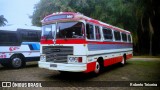 Ônibus Particulares 160 na cidade de Campinas, São Paulo, Brasil, por Roberto Teixeira. Número da foto: #13162751.