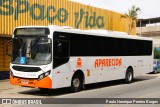 VINSAL - Viação Nossa Senhora Aparecida RJ 187.032 na cidade de Barra do Piraí, Rio de Janeiro, Brasil, por Paulo Henrique Pereira Borges. Número da foto: #13164154.