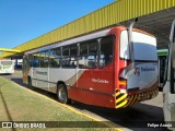 Empresa de Ônibus Vila Galvão FA-01 na cidade de Guarulhos, São Paulo, Brasil, por Felipe Araujo. Número da foto: #:id.