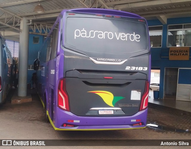Pássaro Verde 23183 na cidade de Santa Bárbara, Minas Gerais, Brasil, por Antonio Silva. Número da foto: #13166207.