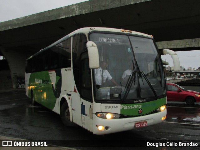Pássaro Verde 29014 na cidade de Belo Horizonte, Minas Gerais, Brasil, por Douglas Célio Brandao. Número da foto: #13165722.