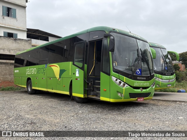 Pássaro Verde 19170 na cidade de Ubá, Minas Gerais, Brasil, por Tiago Wenceslau de Souza. Número da foto: #13167931.