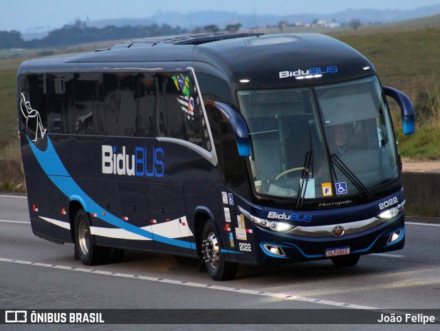 Bidubus Transportadora Turística 2022 na cidade de Lorena, São Paulo, Brasil, por João Felipe. Número da foto: #13165492.