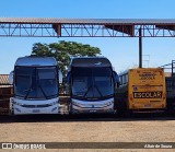 Prefeitura Municipal de Vitória Brasil  na cidade de Vitória Brasil, São Paulo, Brasil, por Altair de Souza. Número da foto: #13167942.