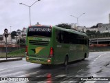 Pássaro Verde 16910 na cidade de Belo Horizonte, Minas Gerais, Brasil, por Douglas Célio Brandao. Número da foto: #:id.